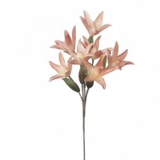 Branch Foam Lily-Star Off White-Pink